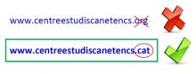 Canvi domini web CEC